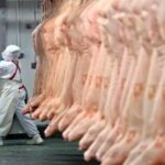 Brasil conquista novos mercados e amplia oportunidades para exportação de carne suína processada