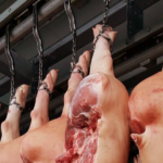 Exportações de carne suína na Europa crescem em 2025