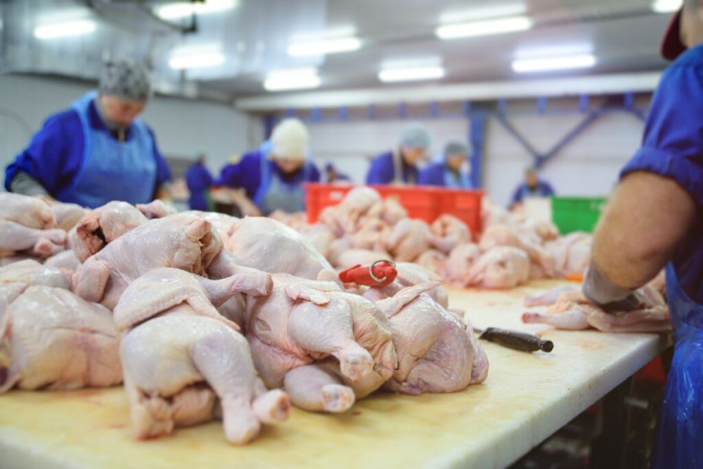 Acordo Mercosul–União Europeia prevê cota de 180 mil toneladas de frango