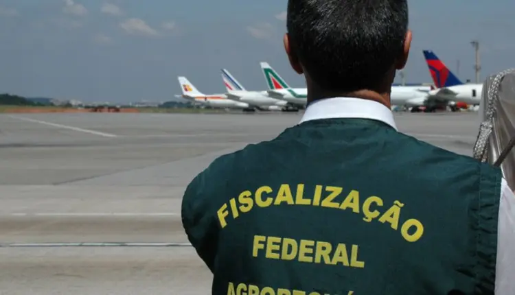 ANFFA Sindical faz balanço de 2025 e define prioridades estratégicas para 2026