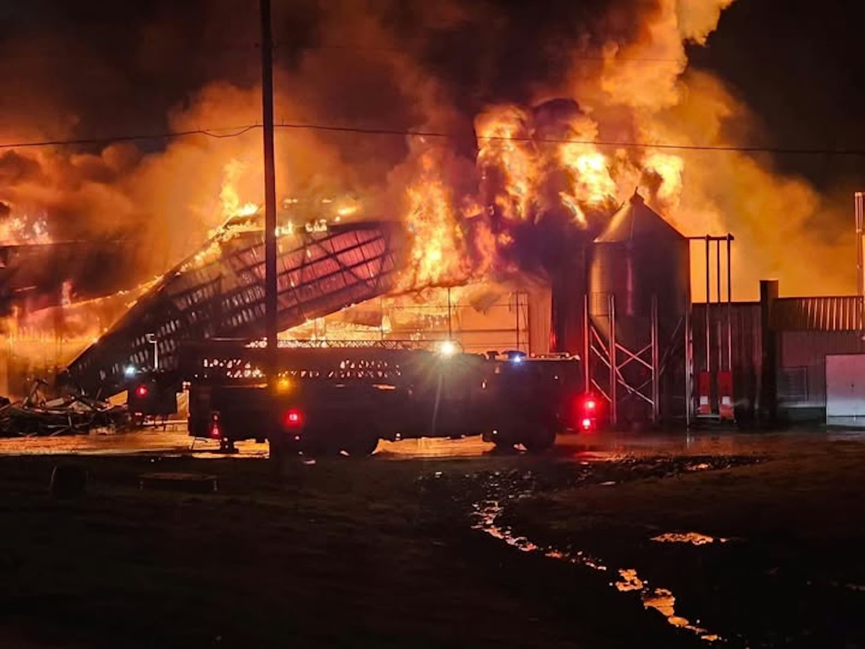 Impacto americano: incêndio atinge produção de ovos na Carolina do Norte (EUA) e provoca morte de 85 mil aves Impacto americano: incêndio atinge produção de ovos na Carolina do Norte (EUA) e provoca morte de 85 mil aves