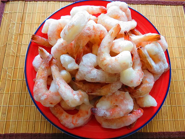 Safra do camarão-rosa é oficialmente aberta no estuário do rio Tramandaí (RS)