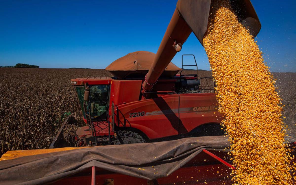 Brasil deve alcançar nova safra recorde de grãos em 2025/26