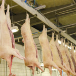 Reino Unido consulta empresas sobre acordo sanitário e fitossanitário com a União Europeia