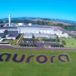Aurora Coop investe R$ 350 milhões e eleva em 60% do abate de suínos no MS