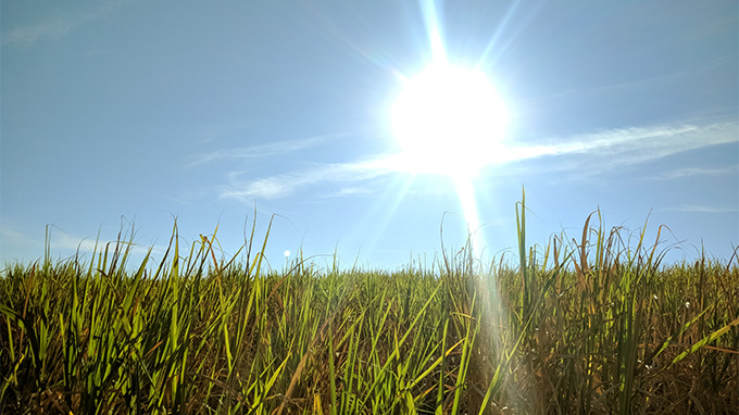 Nova onda de calor leva Inmet a emitir alerta vermelho para o Sul do Brasil no início de fevereiro