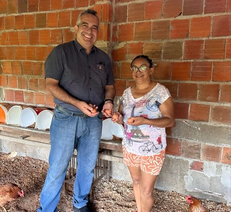 Produção de galinha caipira ganha incentivo em Sobral (CE) e fortalece agricultores familiares Produção de galinha caipira ganha incentivo em Sobral (CE) e fortalece agricultores familiares