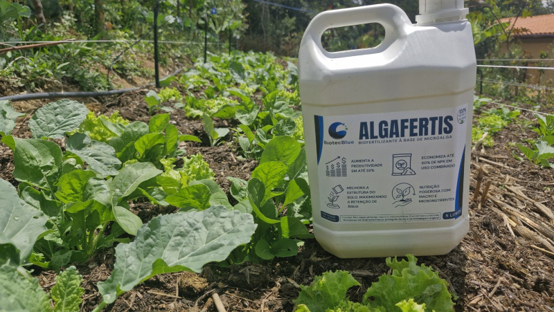 Bioinsumo à base de microalgas pode reduzir dependência de fertilizantes agrícolas