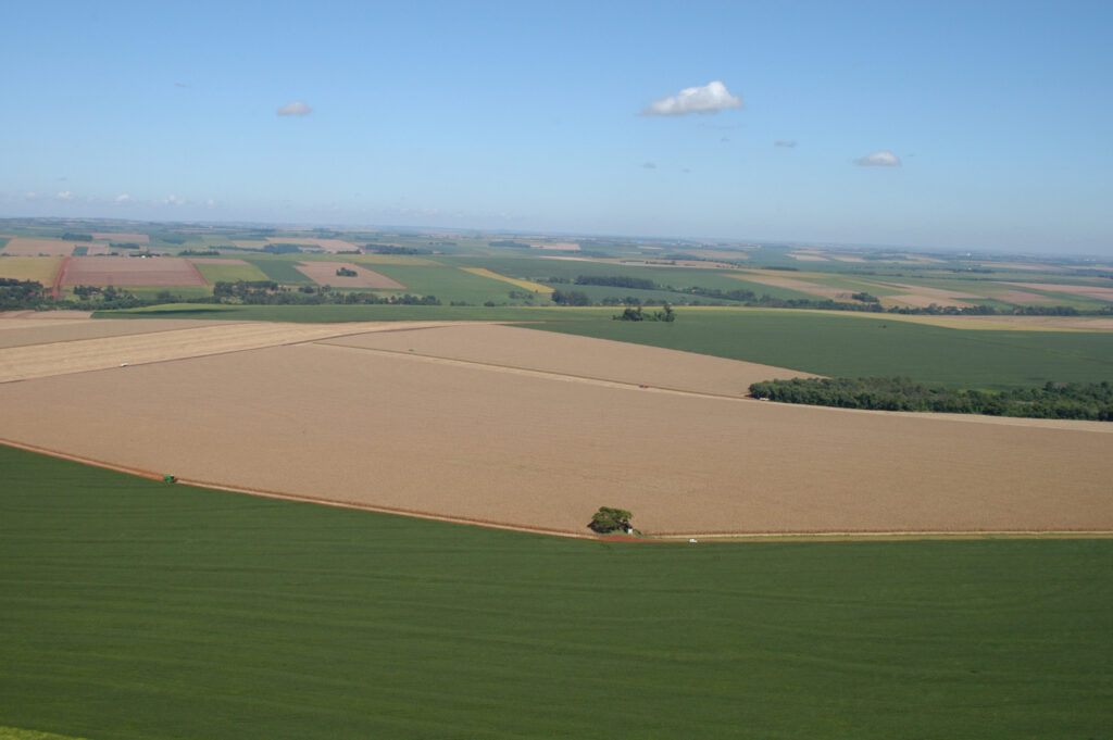C.Vale alcança recorde histórico e recebe 6,56 milhões de toneladas de grãos em 2025