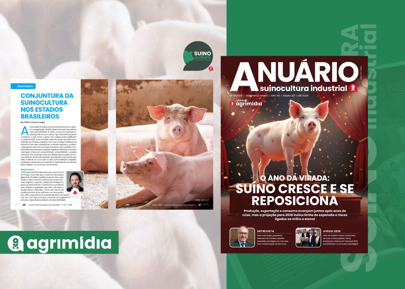 Estados brasileiros evidenciam recuperação estrutural e perspectivas positivas para 2026 no Anuário da Suinocultura Industrial Estados brasileiros evidenciam recuperação estrutural e perspectivas positivas para 2026 no Anuário da Suinocultura Industrial