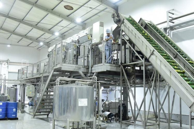 Coopera Paraná conclui análise de 220 projetos e avança na seleção para investimentos de até R$ 100 milhões Coopera Paraná conclui análise de 220 projetos e avança na seleção para investimentos de até R$ 100 milhões