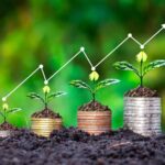 PIB do Agro contrai 2% no 1º trimestre e fecha em R$ 3,13 trilhões