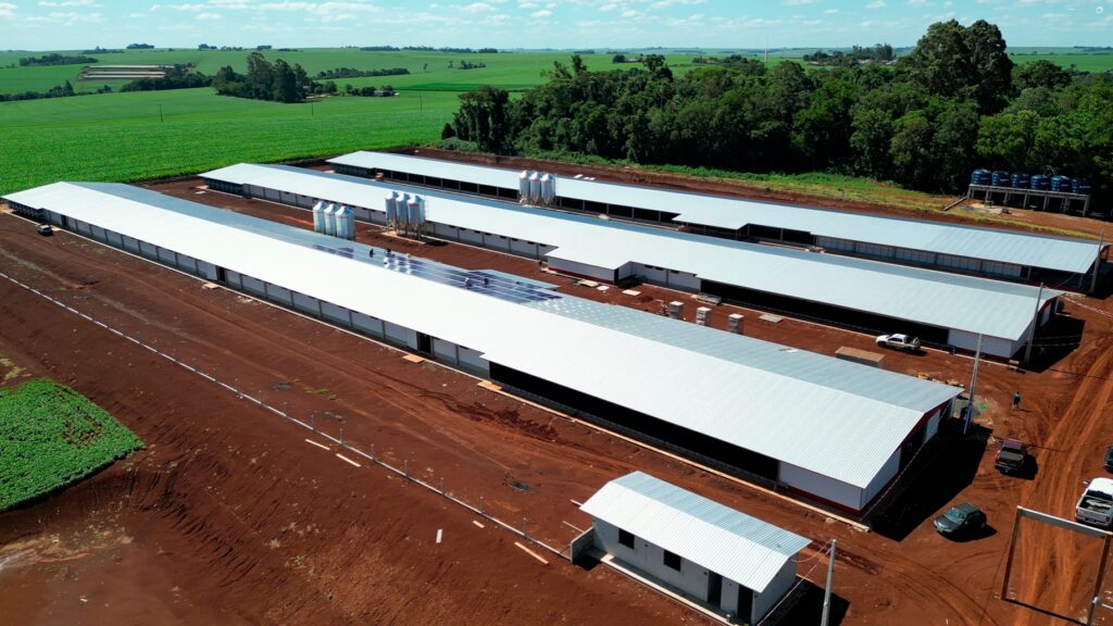 Investimento de R$ 375 milhões no Paraná reforça produção de aves e suínos e amplia integração no campo