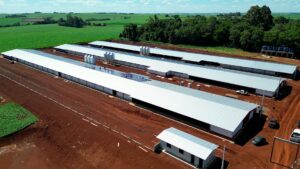 Investimento de R$ 375 milhões no Paraná reforça produção de aves e suínos e amplia integração no campo