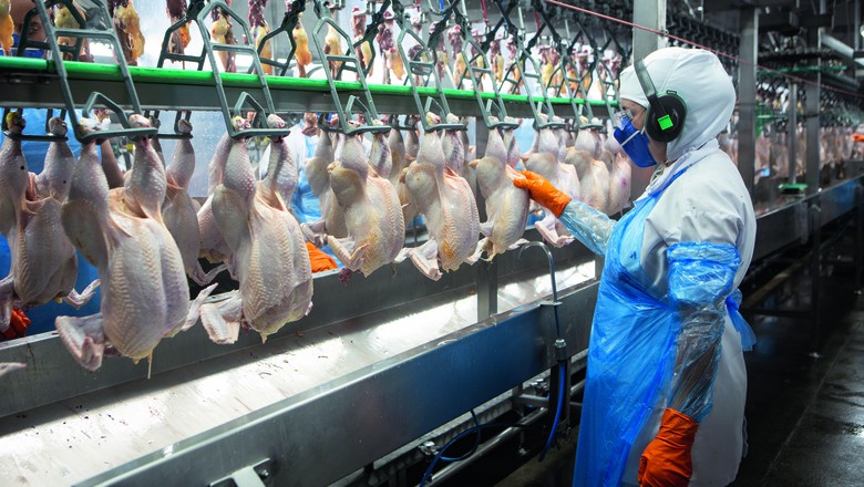 Preço da carne de frango segue estável no Carnaval, mas média de fevereiro é a menor desde 2023