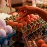 Preço dos ovos sobe até 37% em fevereiro e melhora poder de compra do produtor