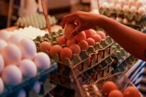 Preço dos ovos sobe até 37% em fevereiro e melhora poder de compra do produtor