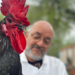 Universidade amplia distribuição de genética de aves e fortalece produção avícola na Bahia