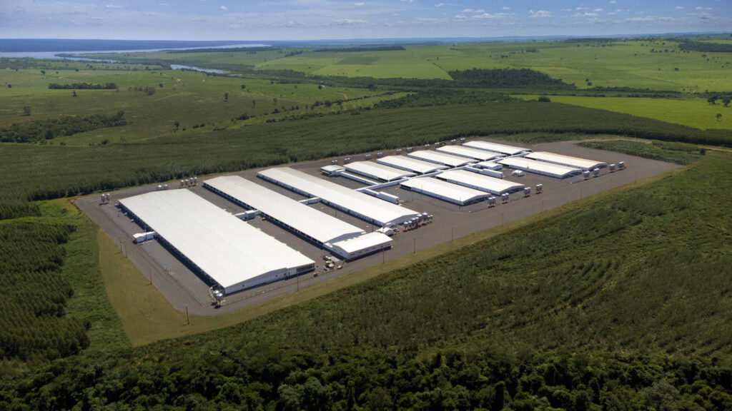 Chile habilita Núcleo Genético Gênesis para exportação de suínos de reprodução