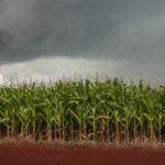 Com frente fria, chuvas fortes retornam ao Sudeste nesta quinta-feira