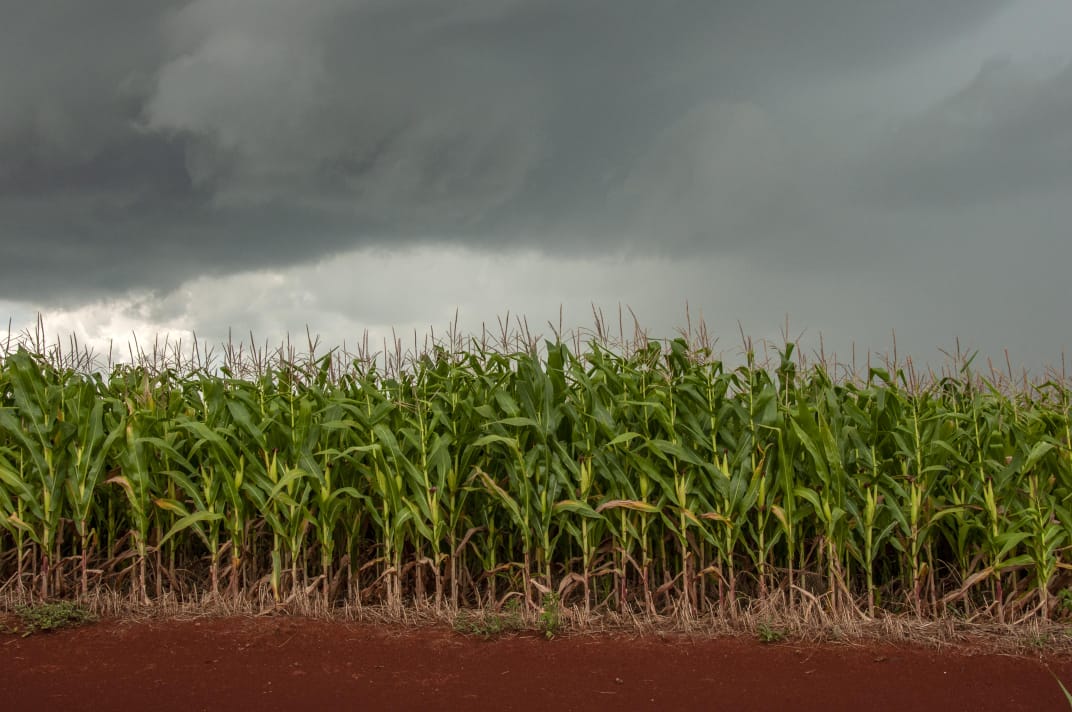 Com frente fria, chuvas fortes retornam ao Sudeste nesta quinta-feira Agro e clima: Brasil e França avançam em pesquisas sobre carbono no solo e agricultura sustentável