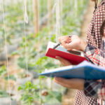 Agro brasileiro entra no segundo semestre com cadeias em ritmos distintos