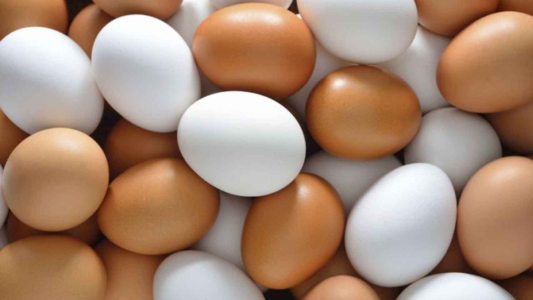 Exportações de ovos crescem 30,9% em volume em janeiro, segundo ABPA Conselho Americano do Ovo reestrutura estratégia para ampliar demanda global e apoiar produtores