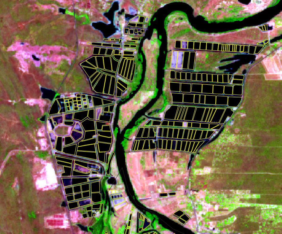 Aquicultura no Ceará cresce e supera 16 mil hectares em 2025