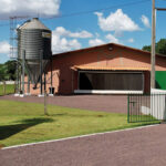 Avicultura no Paraná: aviário escola modernizado amplia capacitação e fortalece produção regional