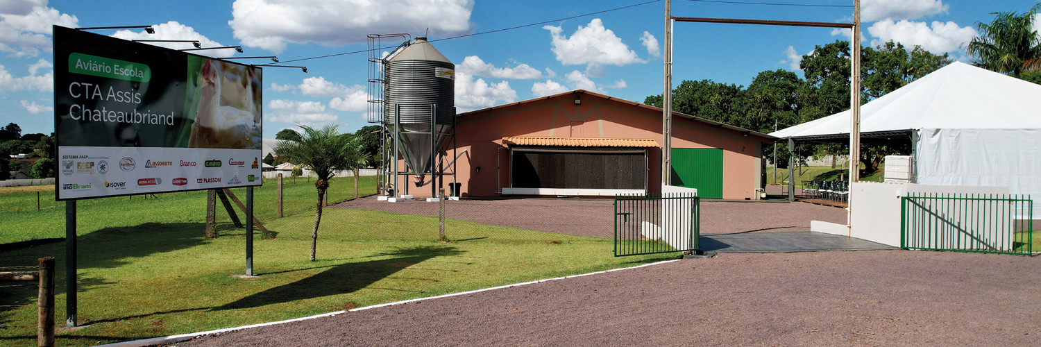 Avicultura no Paraná: aviário escola modernizado amplia capacitação e fortalece produção regional