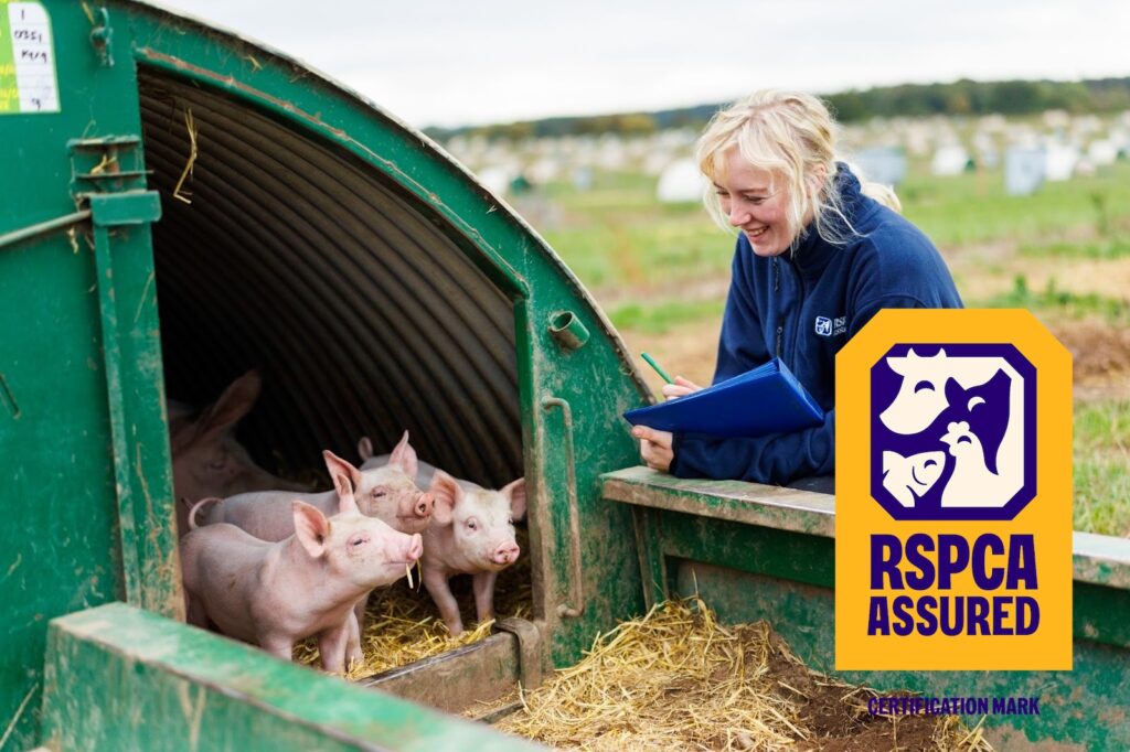 Bem-estar animal: campanha da RSPCA Assured reforça auditorias em campo e amplia confiança do consumidor