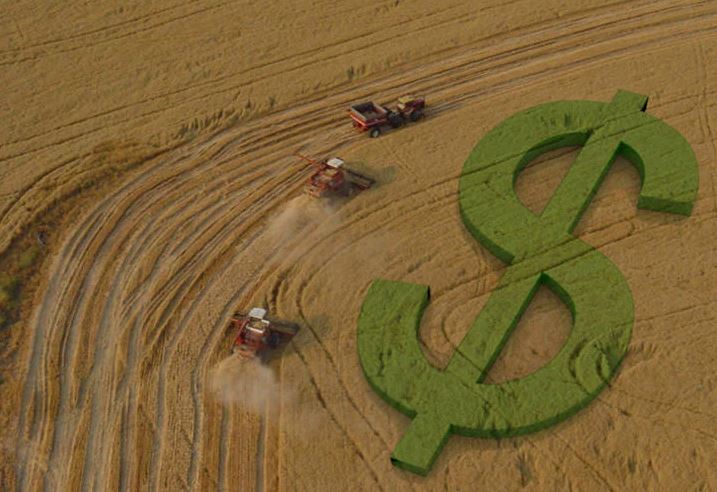 Consórcio ganha espaço no agronegócio como estratégia de expansão patrimonial e planejamento financeiro Consórcio ganha espaço no agronegócio como estratégia de expansão patrimonial e planejamento financeiro