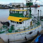 Portaria amplia burocracia e preocupa setor quanto à competitividade da piscicultura