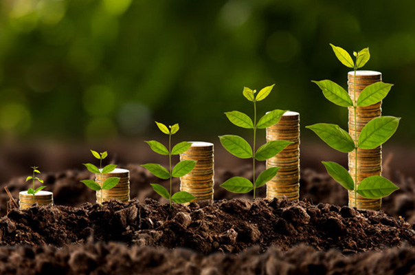 Crescimento do agro, expansão das cooperativas e oscilações de mercado marcam cenário recente do setor