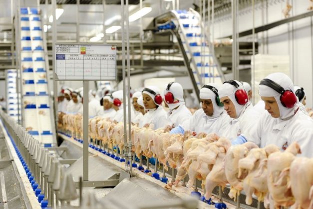 Exportação de carne de frango pode ser afetada por conflito no Oriente Médio Exportação de carne de frango pode ser afetada por conflito no Oriente Médio