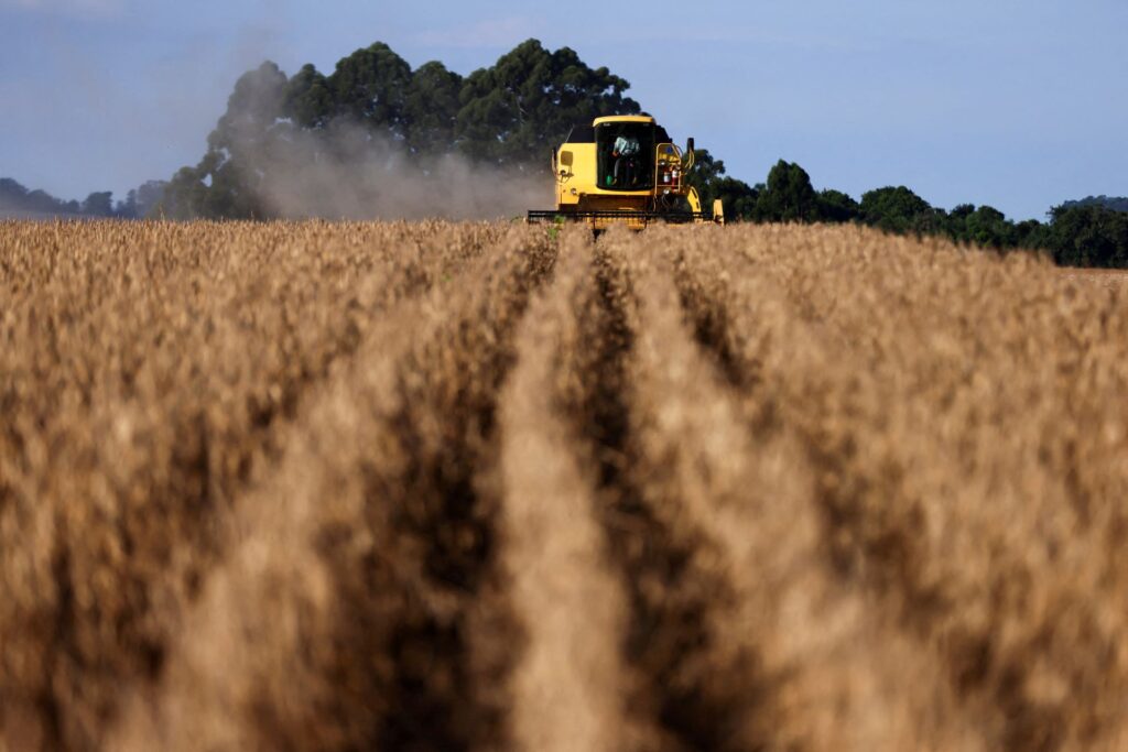Exportações aquecidas e custos favoráveis contrastam com aumento das recuperações judiciais no agro