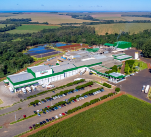 Friella abate 4 mil suínos/dia e supera 450 toneladas de produção, consolidando expansão no mercado nacional