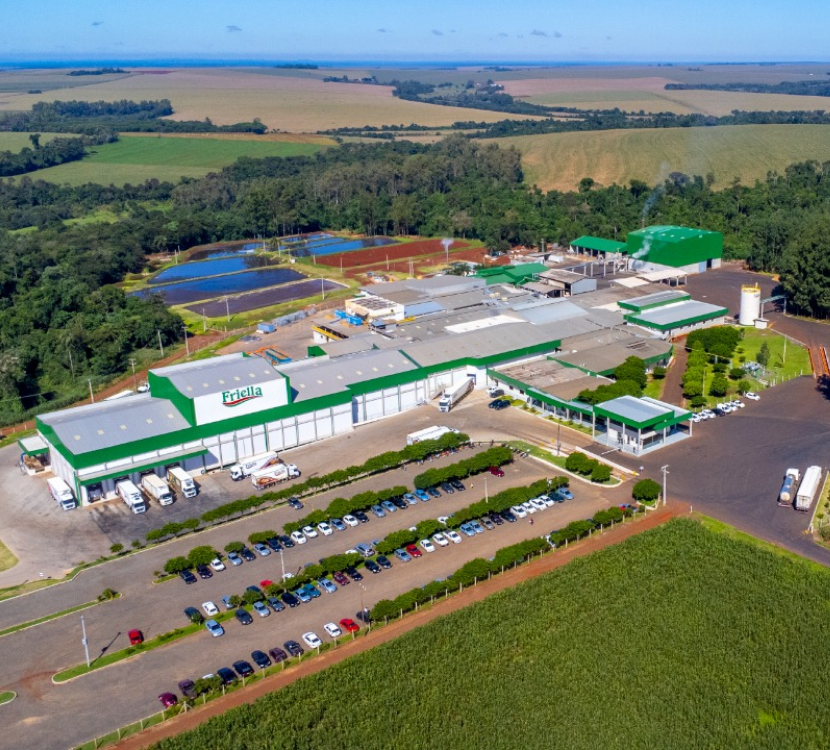 Friella abate 4 mil suínos/dia e supera 450 toneladas de produção, consolidando expansão no mercado nacional