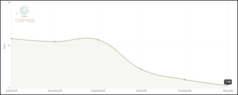Suinocultura brasileira enfrenta alta nos custos de produção com milho e guerra no Oriente Médio, apesar da estabilidade nos preços