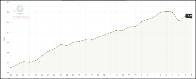Suinocultura brasileira enfrenta alta nos custos de produção com milho e guerra no Oriente Médio, apesar da estabilidade nos preços