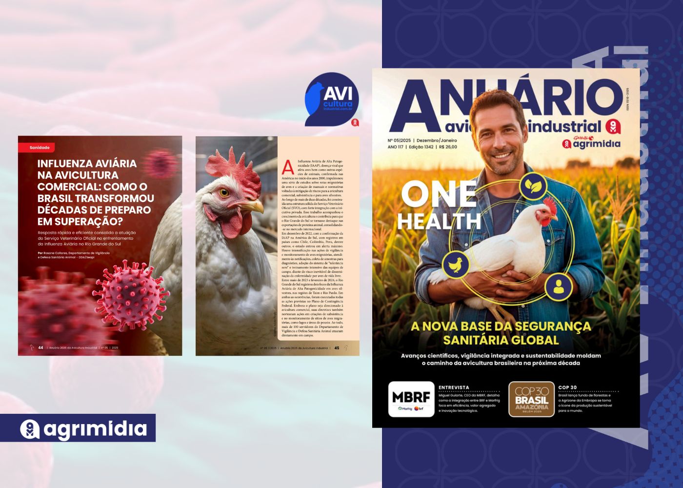 Influenza Aviária: resposta rápida no RS evidencia força do sistema sanitário brasileiro no anuário de Avicultura Industrial Influenza Aviária: resposta rápida no RS evidencia força do sistema sanitário brasileiro no anuário de Avicultura Industrial