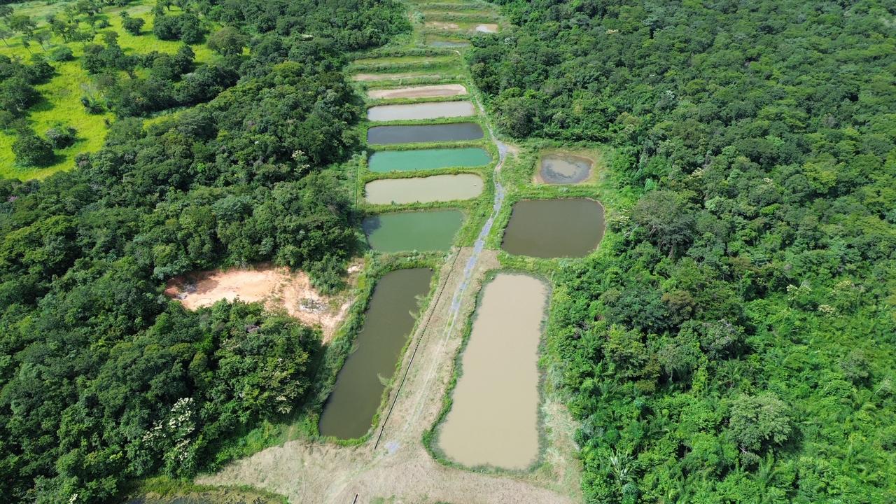 Inovação no agronegócio: nova unidade da Embrapa fortalece produção e agricultura familiar em Mato Grosso Inovação no agronegócio: nova unidade da Embrapa fortalece produção e agricultura familiar em Mato Grosso