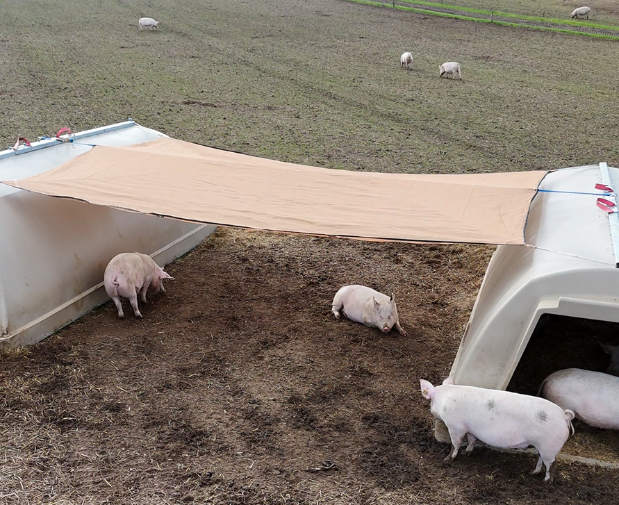 Novo sistema de sombreamento reduz estresse térmico e melhora desempenho de matrizes ao ar livre