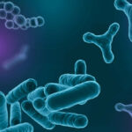 Nutrição animal: biopolímero inovador pode elevar eficácia de probióticos na produção pecuária russa