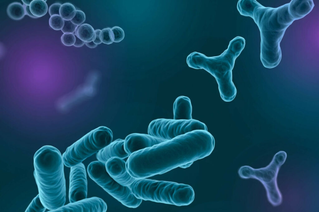 Nutrição animal: biopolímero inovador pode elevar eficácia de probióticos na produção pecuária russ