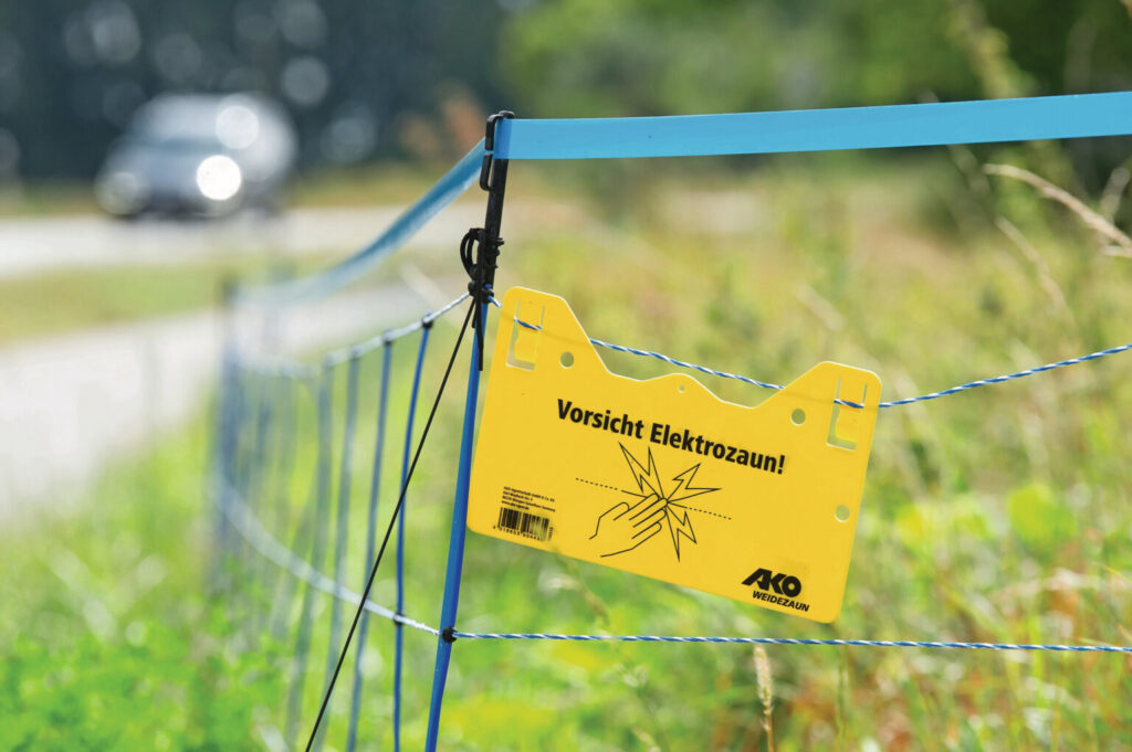 Peste Suína Africana avança na Alemanha e concentra pressão sanitária no país