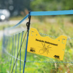 Peste Suína Africana avança na Alemanha e concentra pressão sanitária no país