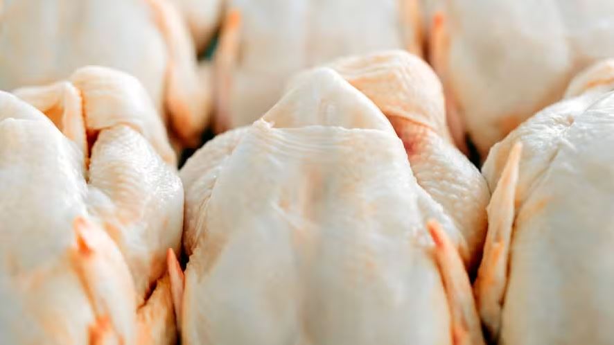 Preço do frango cai 5,2% em março e atinge menor nível desde 2023