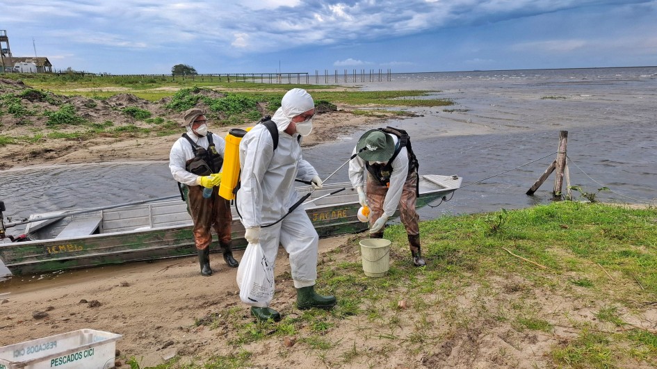 Rio Grande do Sul intensifica vigilância após foco de influenza aviária em aves silvestres na Reserva do Taim