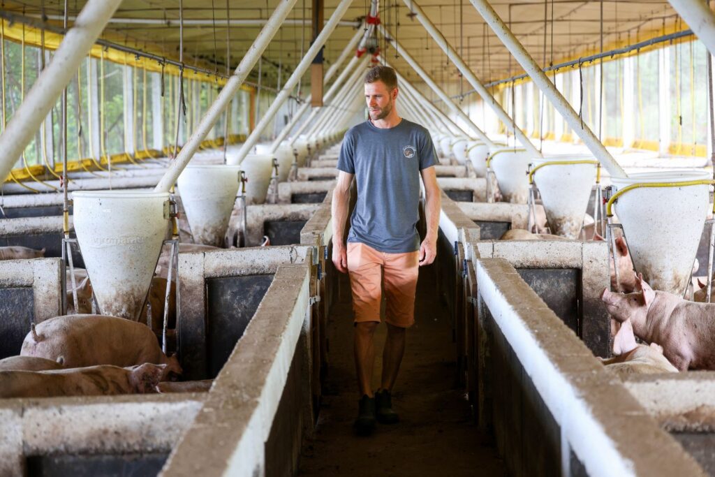 Santa Catarina aposta em crédito de R$ 1 bilhão para expandir cadeias de suínos e aves